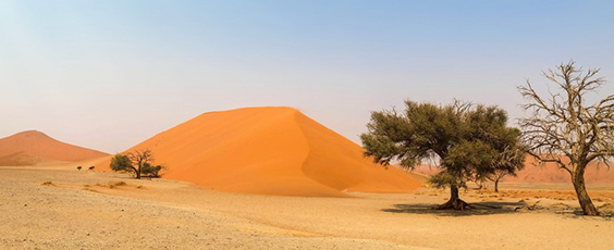 Afrique