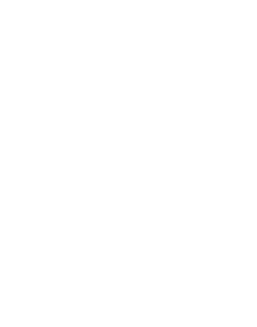Logo Dakar blanc